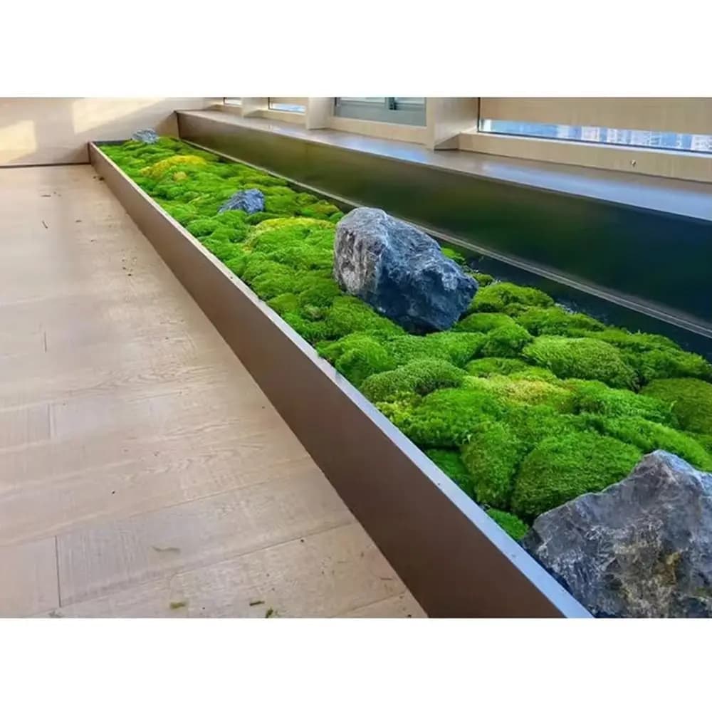 Artificial Plant Plant Musk Set, Home and Garden Decorations, Green Musk for You, Ornaments, Micro Landscape, Fin Grass