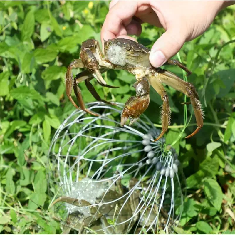 Gabbia per rete da pesca Filo di chiusura aperto automatico Trappola per granchi per pesci Filo di acciaio per accessori per la pesca all'aperto in acqua salata