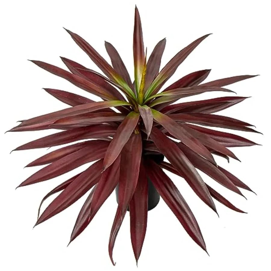 Large 44 cm Red Agave Artificial Plant, Yucca Finta in Vaso per Esterni, Finte Plants of Agave for Home, Room, Office, Garden, Entrance