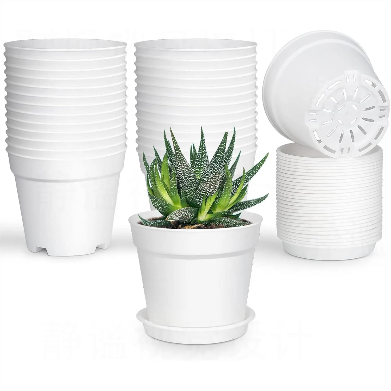 Confezione da 28 vasi per piante piccole da 4 pollici con fori di drenaggio e sottovasi, fioriere in plastica per piante grasse, fiori, semina, bianco