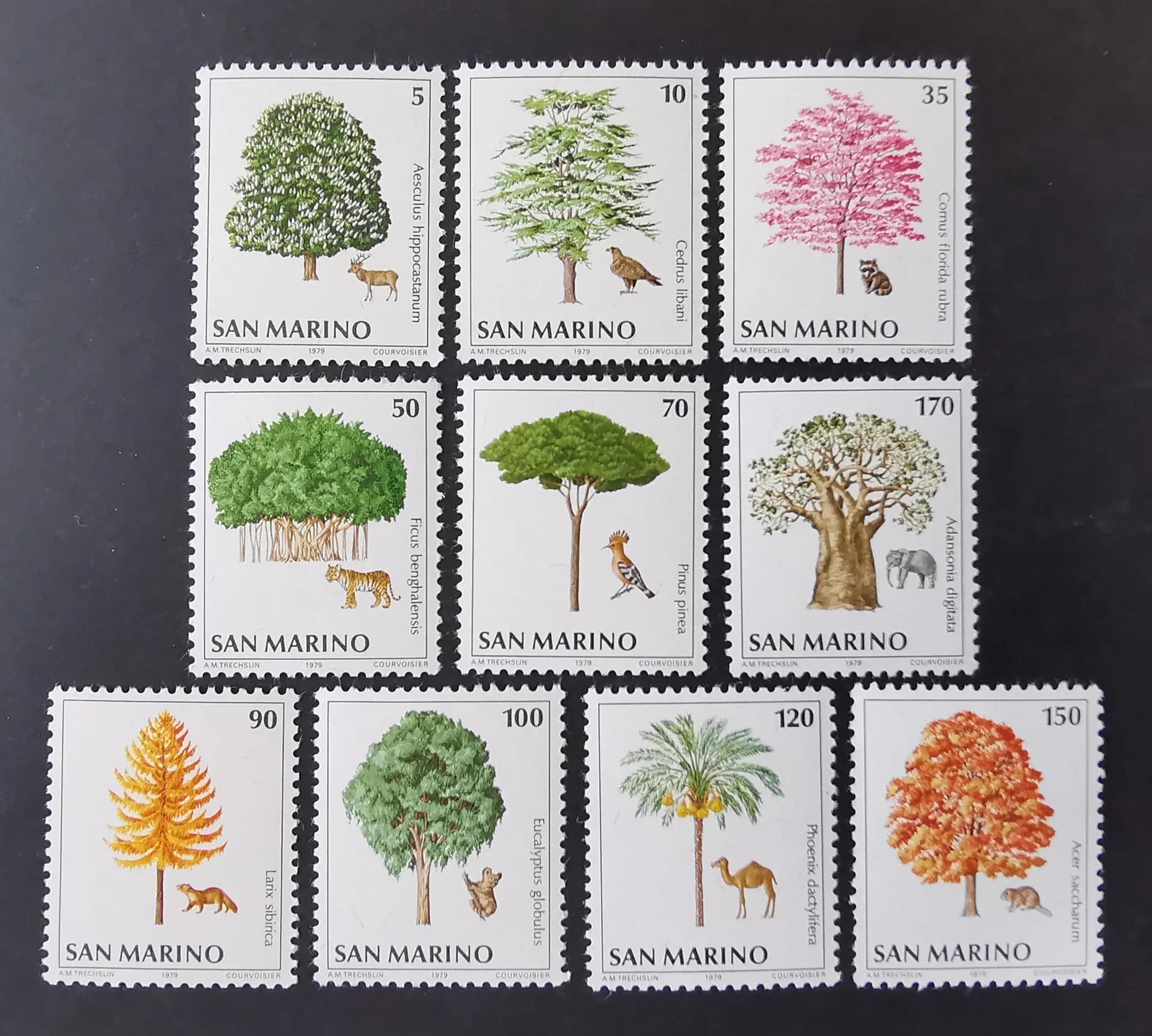 10Pcs/Set New San Marino Post Stamp 1979 Environmental Protection All Kinds of Trees Stamps MNH