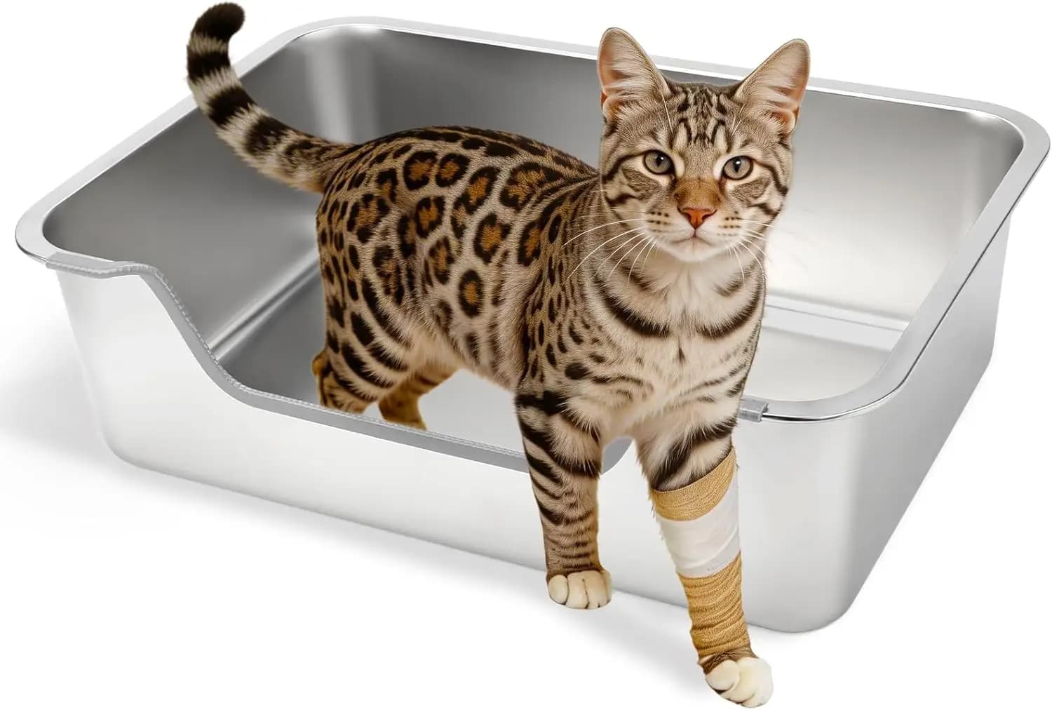 Lettiera per Gatti in Acciaio Inossidabile a Basso Profilo, Lettiera per Gatti in Metallo con Parete Alta Anti-Schizzi, Toilette per Gattini per Anziani con Problemi Articolari