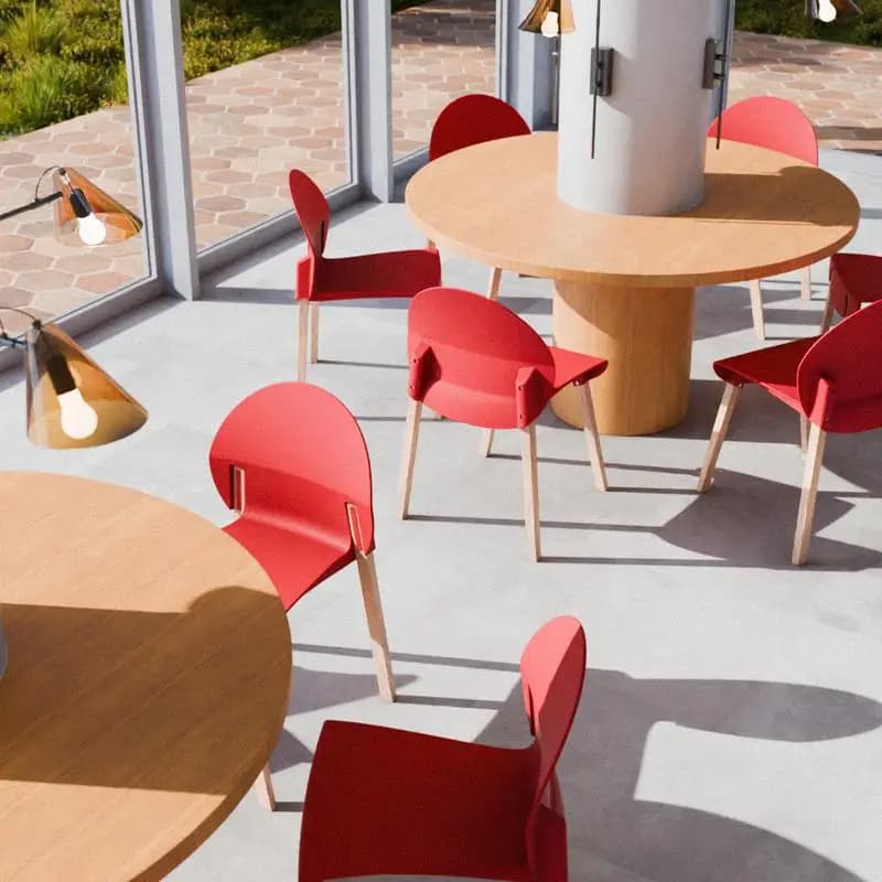 Confezione da 4 sedie rosse: gambe in rovere e sedile in PP per sala da pranzo e soggiorno interni