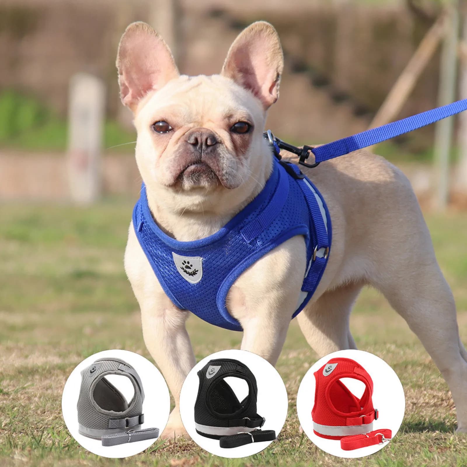 Guinzaglio per cani Set guinzaglio per cani di piccola taglia regolabile per cuccioli di gatto gilet Bulldog francese Chihuahua Pug guinzaglio da passeggio all'aperto