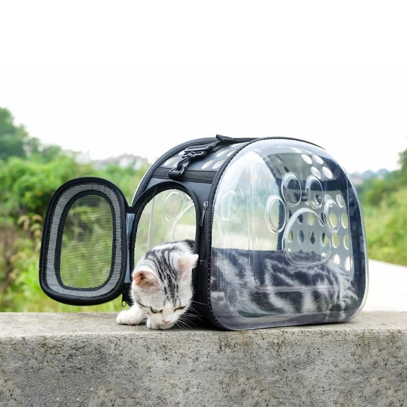 Borsa da Trasporto Pieghevole Trasparente per Animali Domestici con Tracolla per Cuccioli e Gattini, Borsa Portatile a Capsula