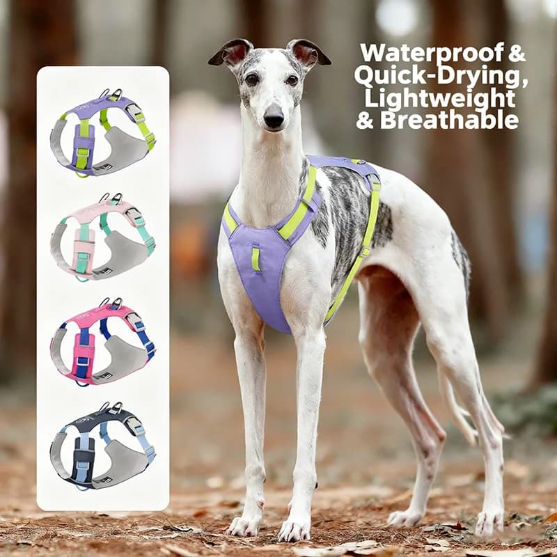 Gilet leggero con imbracatura per cani a prova di fuga - Gilet per animali in rete traspirante che blocca il colore riflettente per cani di piccola/media/grande