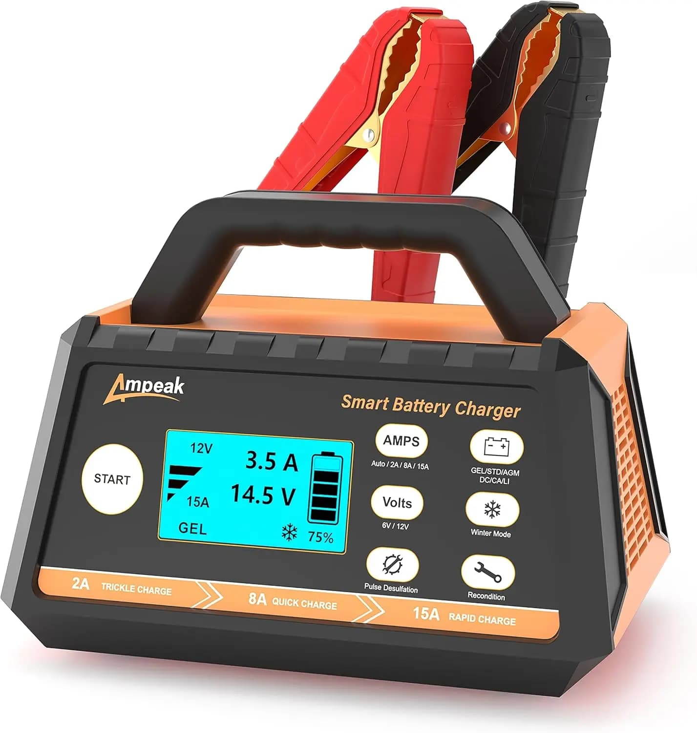 Caricabatteria per auto 2A/8A/15A, mantenitore automatico intelligente 6V/12V con modalità invernale e desolfatore per batterie al piombo-acido e LiFePO4