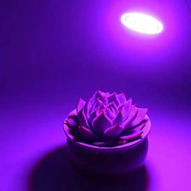 ABHU LED Plant Growth Lamp Full spectrum plant growth lamp for organic plants with hydroponic seeds of flowers 8 pieces