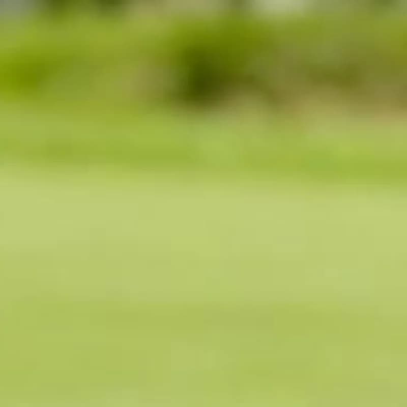 Contenitore Portatile per Palline da Golf, Tubo Trasparente in PC, Scatola di Imballaggio Rotonda in Plastica, Varie Specifiche, Confezione Regalo per Palline