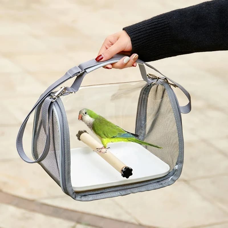 Borsa per il trasporto di piccoli animali Gabbia per criceti portatile Riccio Borsa a tracolla trasparente per pappagalli Ventilazione Gabbia per conigli Accessorio per animali domestici