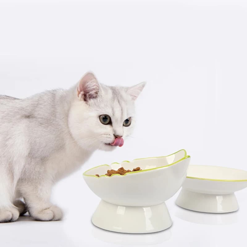 Ciotola per gatti rialzata Ciotola per cibo per gatti rialzata Stabile Proteggi la colonna vertebrale dell'animale domestico Piatto per alimentazione durevole per animali domestici Ciotola per acqua per gatti Cani