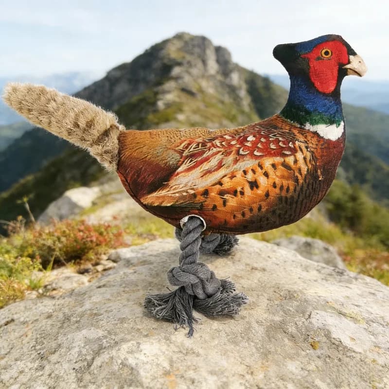 Giocattolo per animali domestici a forma di fagiano collato, pollo e anatra, con squeak, in peluche, per cani e gatti, giocattolo da masticare per la pulizia dei denti, forniture per animali domestici