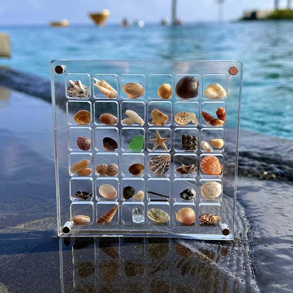 36/64 Griglie Scatola di visualizzazione di conchiglie acriliche Vetrina magnetica per conchiglie Scatola per organizer Scatola per piccoli oggetti artigianali