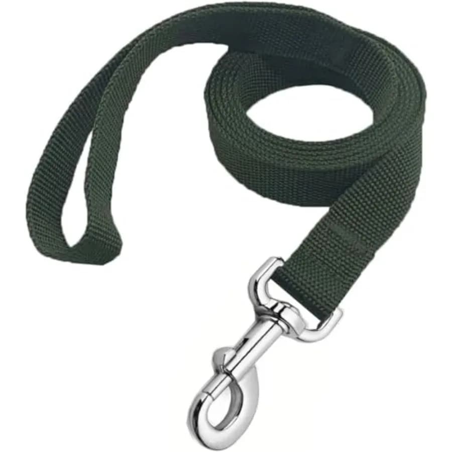 Strong Nylon Dog Leash, 4FT/ 5 FT/ 6FT Dog Leashes for Small Medium Dogs