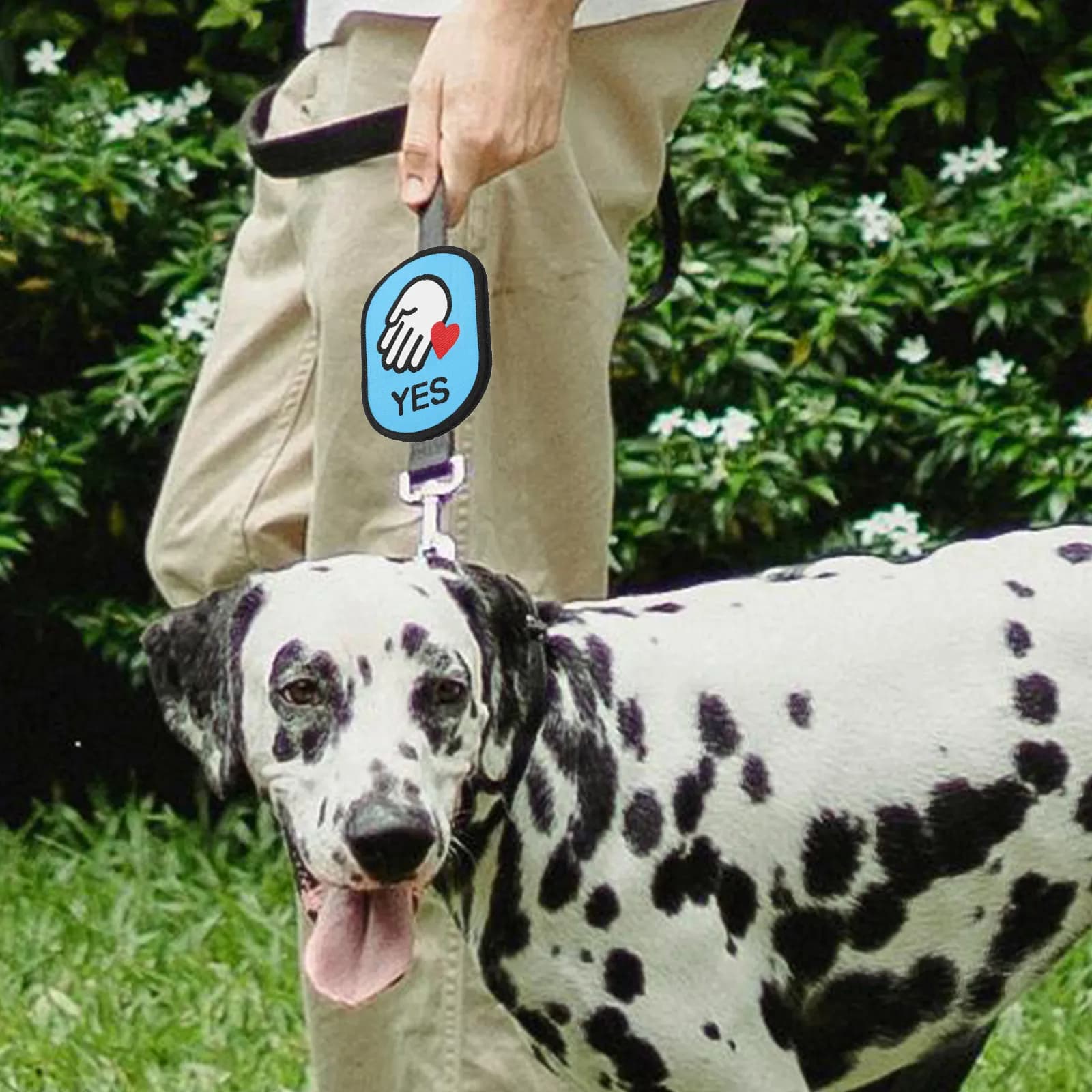 Patch per Guinzaglio per Cani e Gatti, Adesivo di Avvertimento per Uso Esterno, Accessorio per Cani, Etichetta di Avvertimento per Animali Domestici