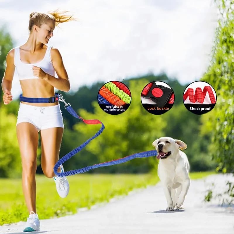 Multifunctional Waist Bag for Open Race Dogs, Hand-Free Sports Waist Bag, Nylon Retractable Bag