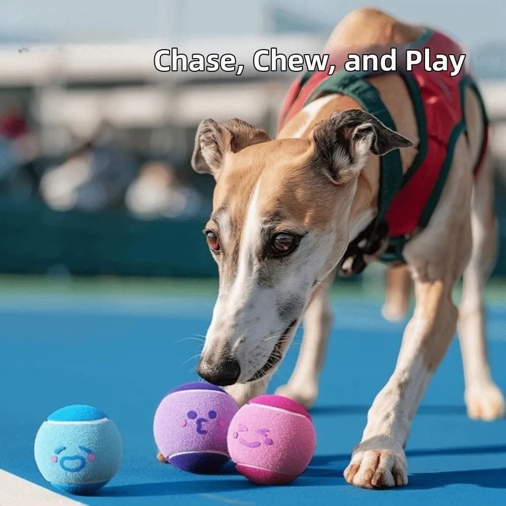 Palla da tennis elastica per animali domestici da 3 pezzi, colore bloccato, ecologica, da masticare, in gomma, con suono stridulo, per cani, per cuccioli
