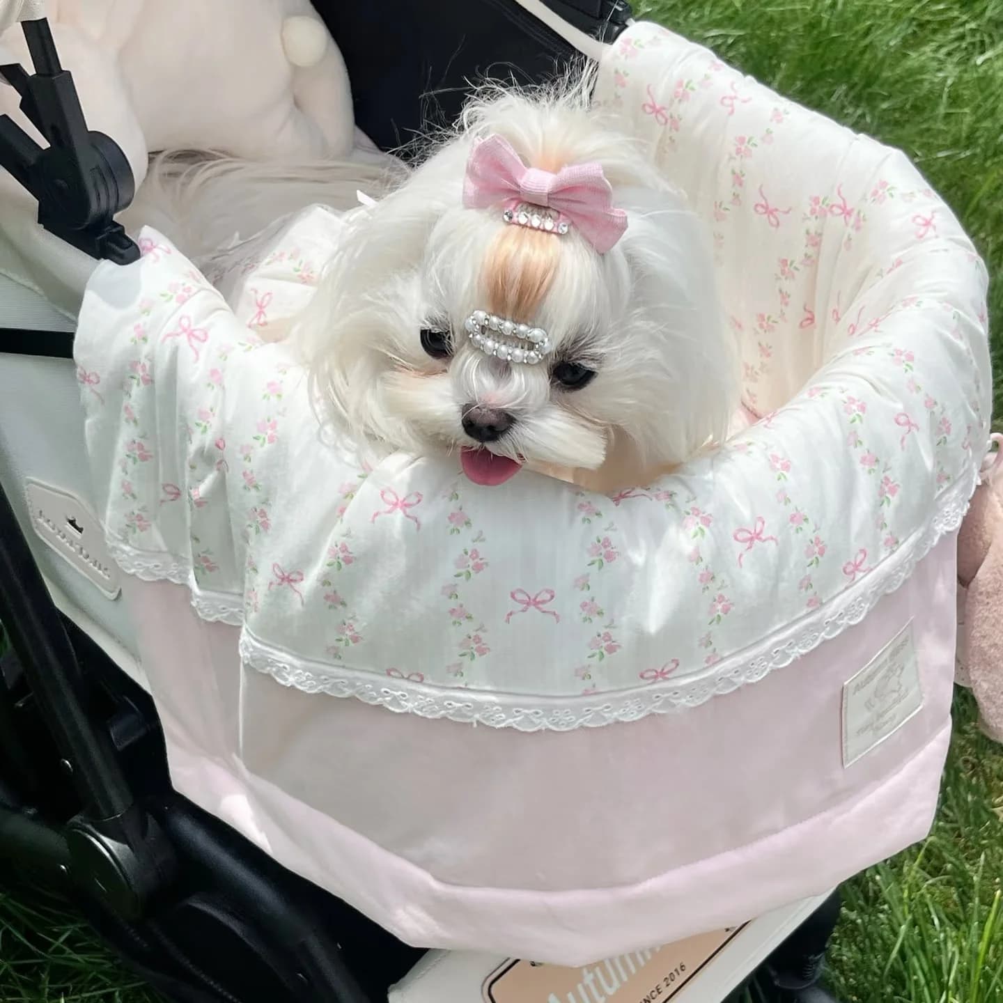Accessori Originali per Passeggini per Animali Domestici: Tappetino, Cuscino, Decorazione Sospesa, Telo Universale Antimacchia per Cani