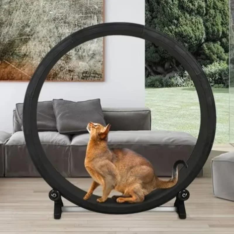 Silent Cat Treadmill Running Wheel Multi-function Cat Treadmill Wheels Roller Quiet Fitness Cats Toys Sports Cats Supplie Pet