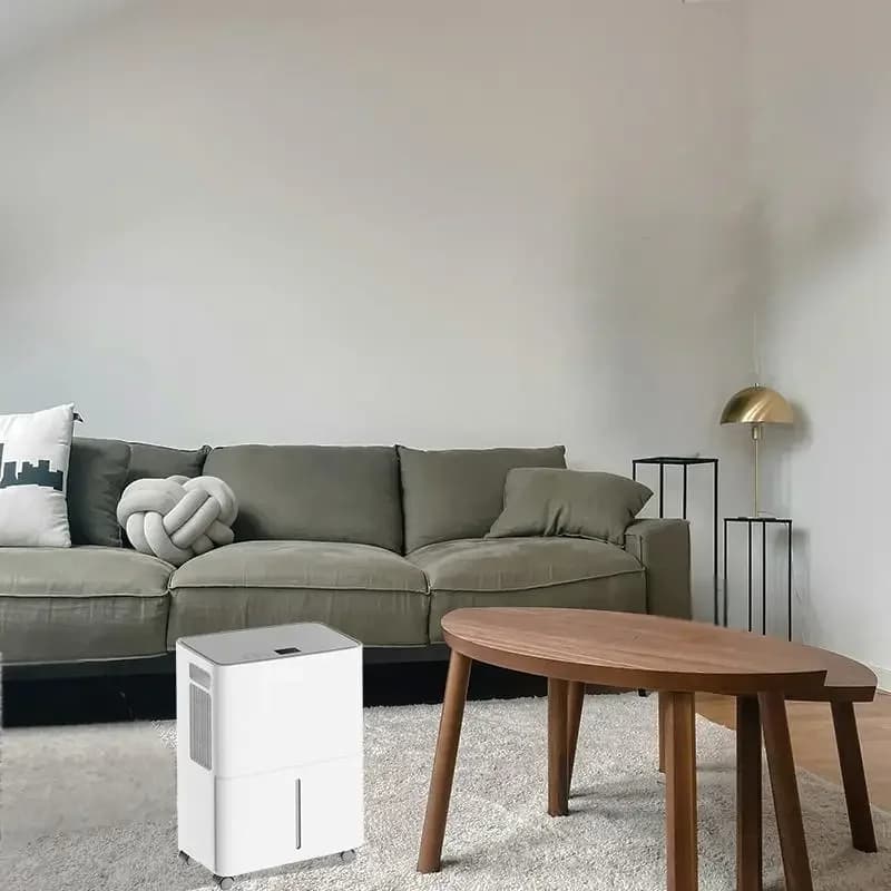 Sbrinamento automatico deumidificatore elettrico portatile ad alta efficienza per uso domestico piccolo essiccazione dell'aria per uso domestico 110v