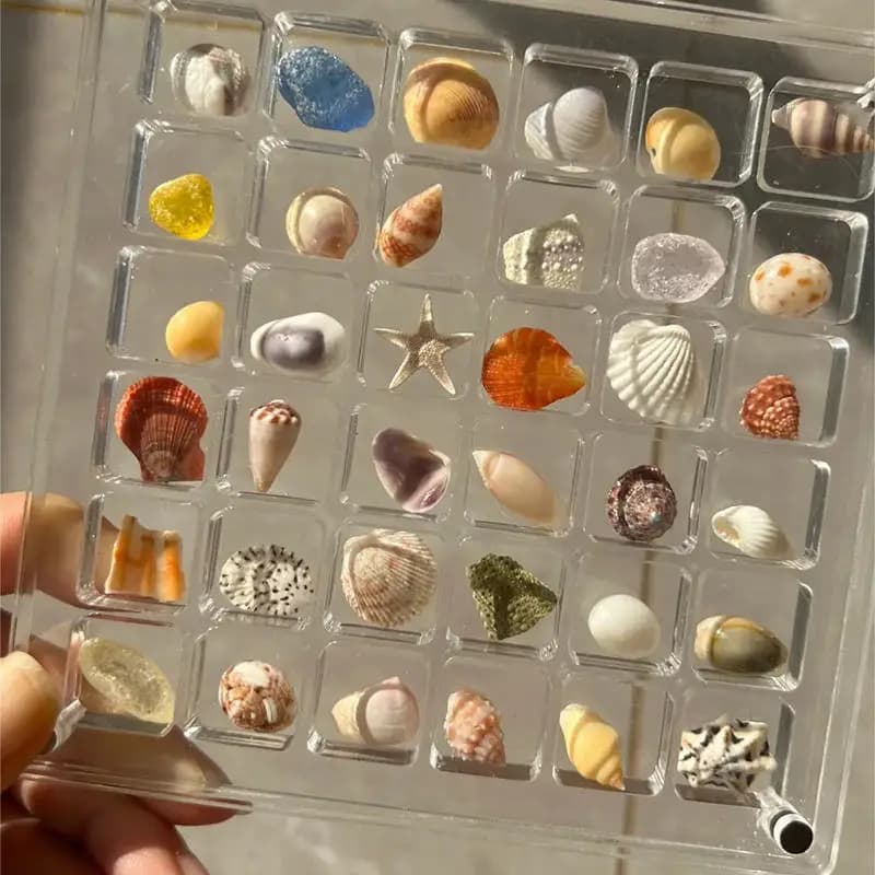 36 Griglie Acrilico Conchiglia Display Box Durevole Stelle Marine Gingillo Custodia Per Perline Gioielli Per Unghie Chic Gife NUOVO