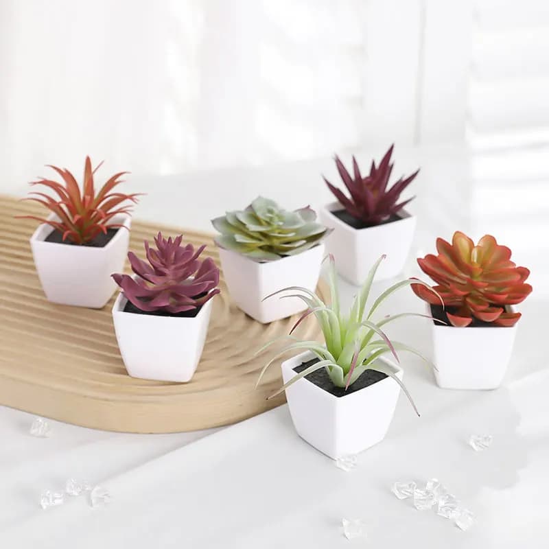 Set of 6 Mini Green Artificial Succulent Plants in White Vase, Home Decoration, Davanzale, Restaurant, Desk, Library