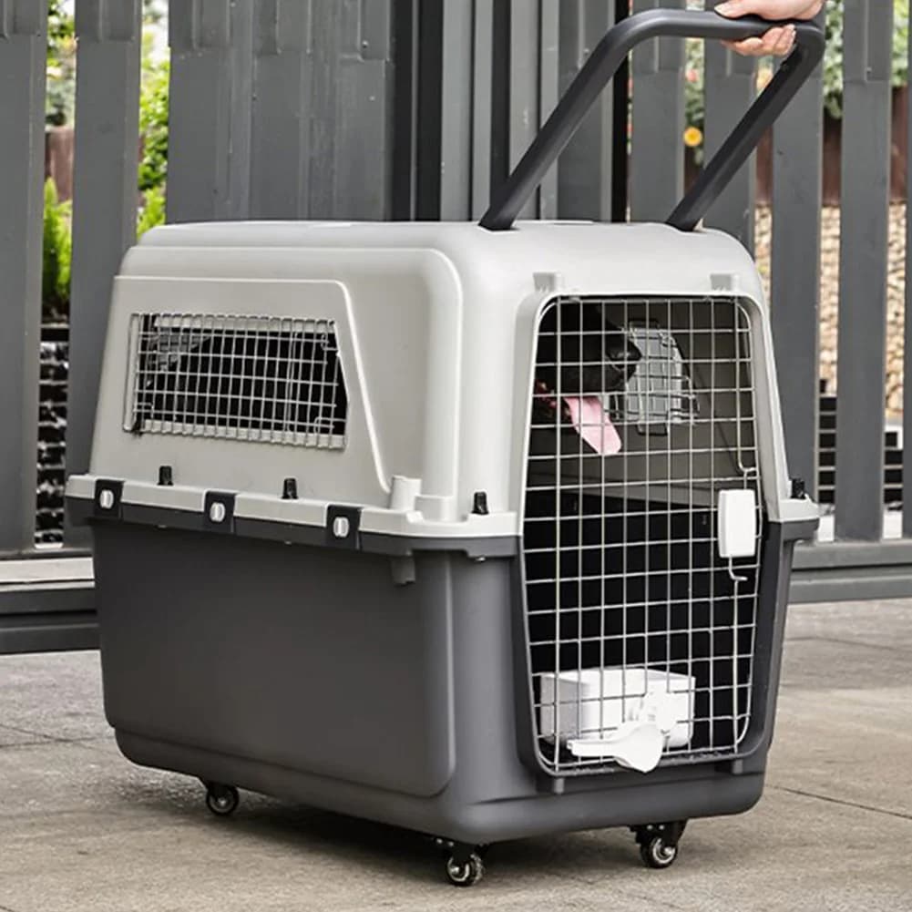 Trasportino Portatile per Animali Domestici con Maniglia e Porta in Metallo, Lunghezza 84cm/Larghezza 55cm/Altezza 64cm, per Cuccioli e Gattini