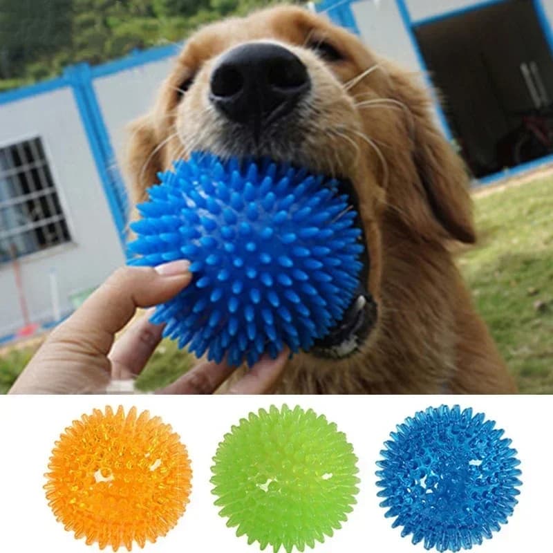 Giocattoli per cani da compagnia Cucciolo di gatto Giocattolo dal suono Polka Squeaky Palla per la pulizia dei denti Addestramento TPR Denti da compagnia Giocattolo da masticare Palle di spina Accessori