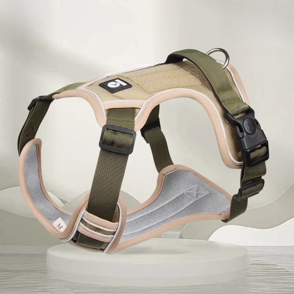 Collare per cani per animali domestici Guinzaglio Accessori Collari piccoli Forniture per cuccioli Riflettente regolabile Piccolo medio grande Piombo esterno