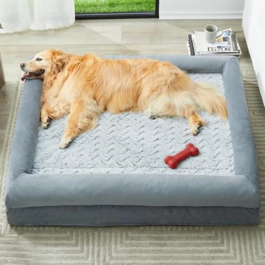 Cuccia XL Extra Large per Cani, Lavabile, con Rivestimento Impermeabile Rimovibile, Ortopedica, Grande Divano Letto per Animali Domestici con Lati Rinforzati