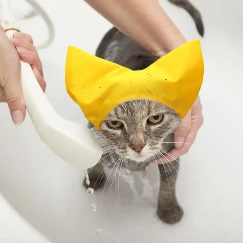Cappello da Doccia per Gatti con Protezione per le Orecchie, Impermeabile, Regolabile e Comodo per il Bagno e la Toelettatura degli Animali Domestici