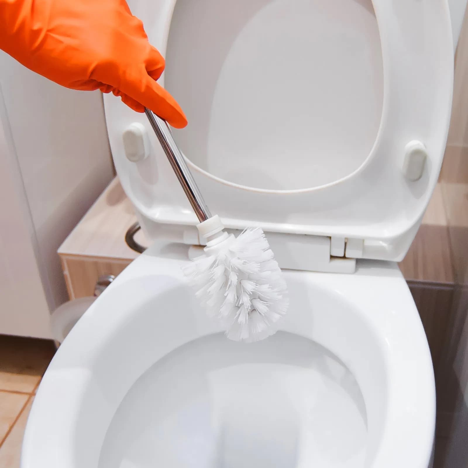 5 Pezzi Testine di Ricambio Premium in Plastica per Spazzola WC, Setole Densi e Resistenti per la Pulizia del Bordo di WC a Scarico Basso