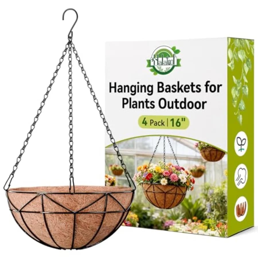 Set of 4 Suspended Baskets of 16 Metal Exterior Plants with Cock Fiber Coating, Green Vacuum Jar for Flowers to Hang on Wall or Patio