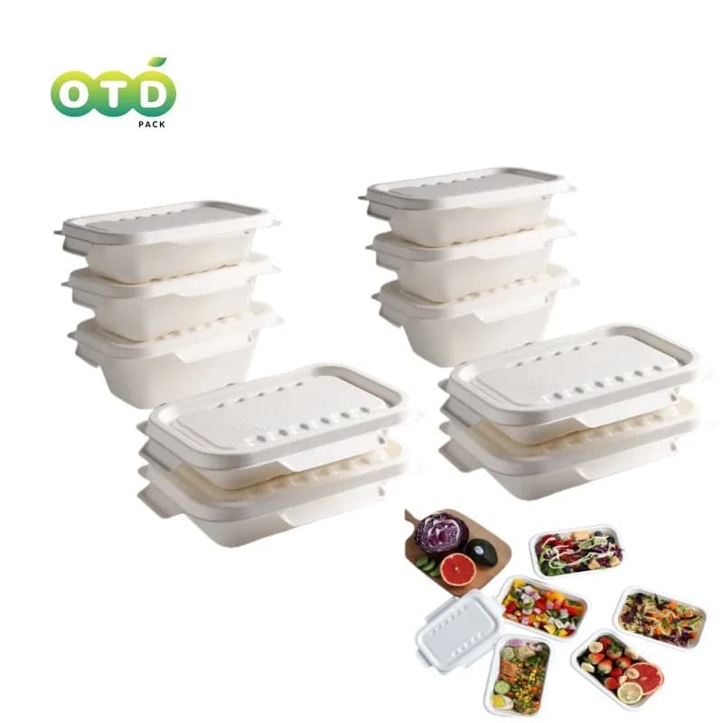 Contenitore rettangolare compostabile in bagassa di canna da zucchero con 2 coperchi vassoio per alimenti monouso per la preparazione dei pasti per Sushi
