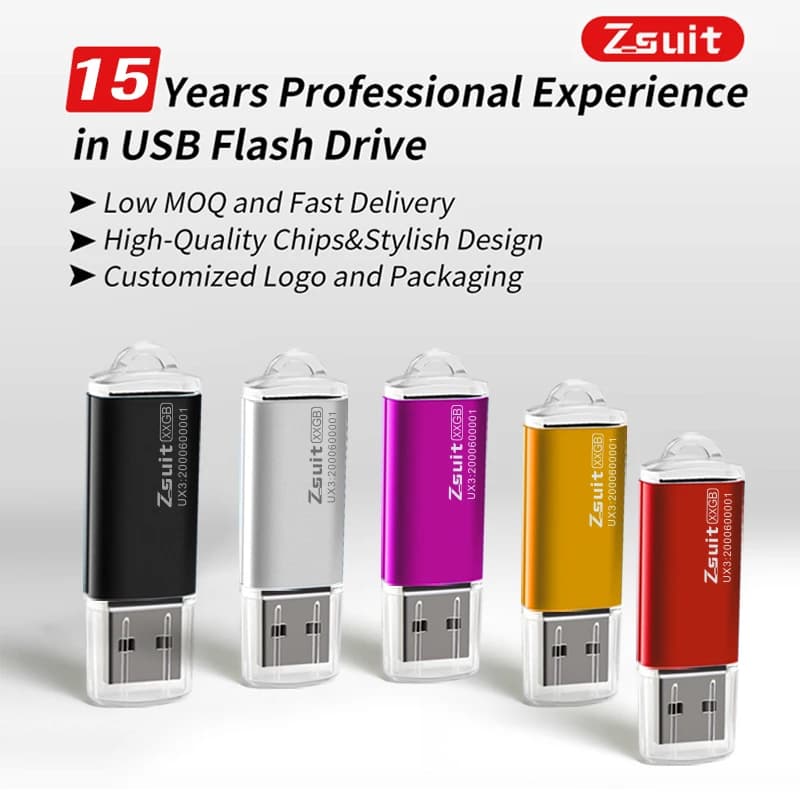 Zsuit Free Custom 10PCS Chiavetta USB 2GB Pen Drive 4GB 8GB 16GB Chiavetta USB Memory Stick Regali 32GB 64GB Disco U impermeabile