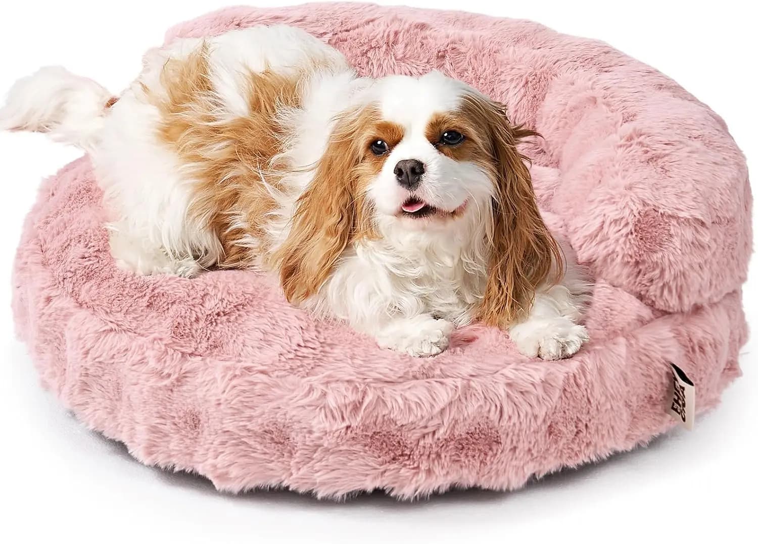 Cuccia a Divano per Gatti da Interno, Morbido Lettino per Cani Piccoli con Rivestimento Rimovibile e Lavabile, Divano per Animali Domestici con Cuscino, Impermeabile