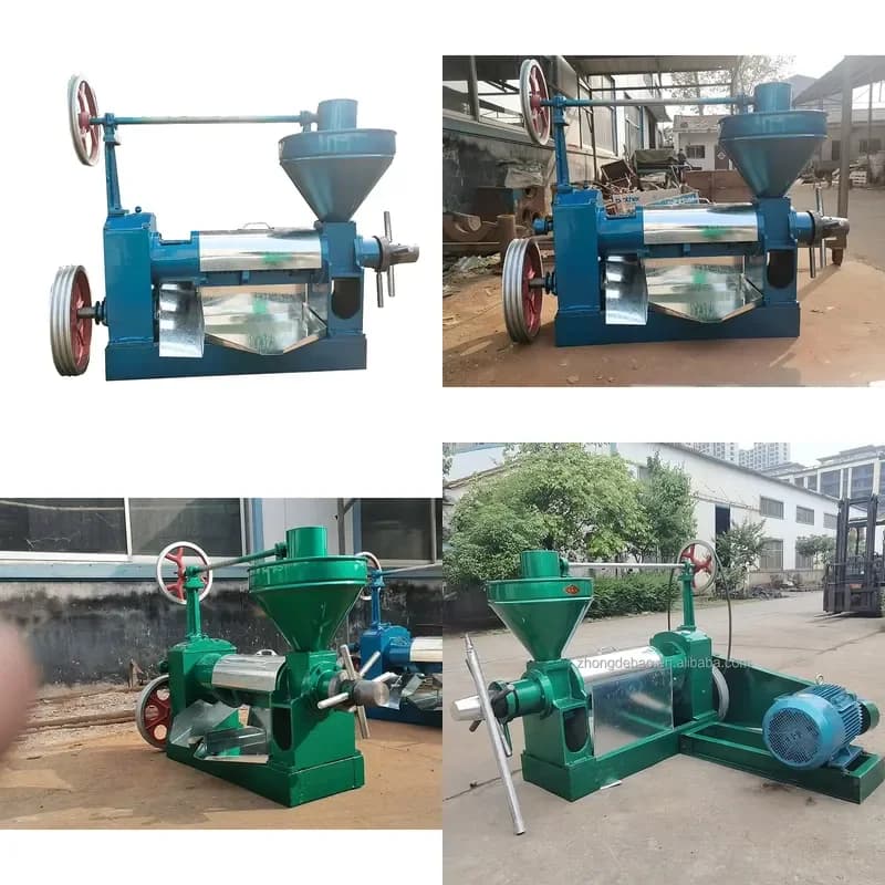 for 6YL-80 Sunflower Oil Press Machine Oil Pressing Machine For Sun Flower Seeds Oil Press Extruder