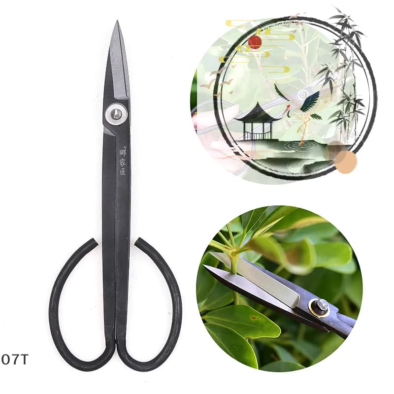 Long handle scissors pruning shears for bonsai branches to organize flowers and trim plants Garden tools