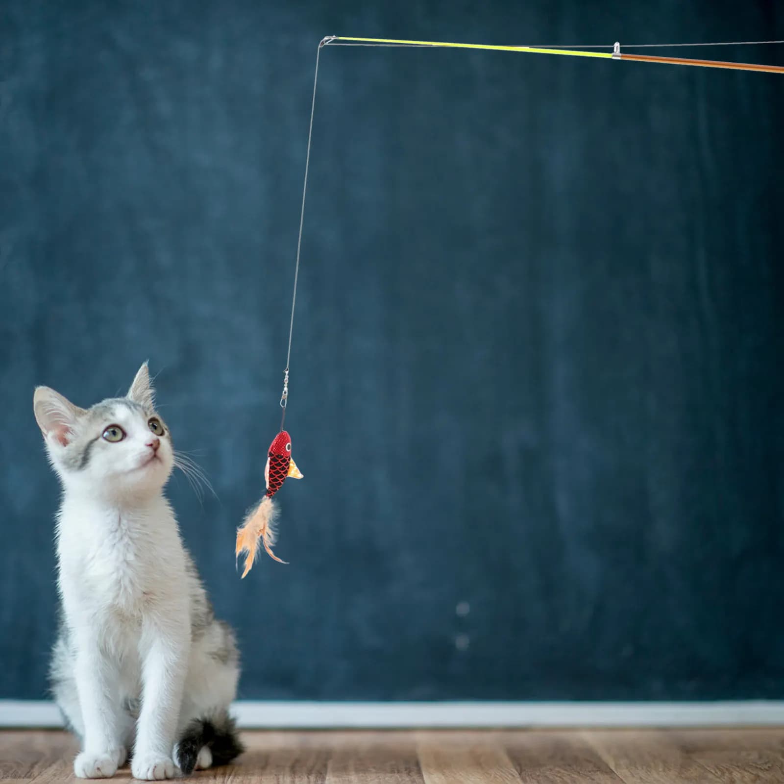 Fishing Rod Cats, Fish Shape Interactive Toy, Funny Game for Cats, Pet Accessories