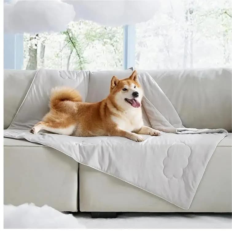 Coperte rinfrescanti per animali domestici Lavano una morbida coperta rinfrescante estiva per gatti e cani in climi caldi Prodotti per animali domestici Coperta per cani
