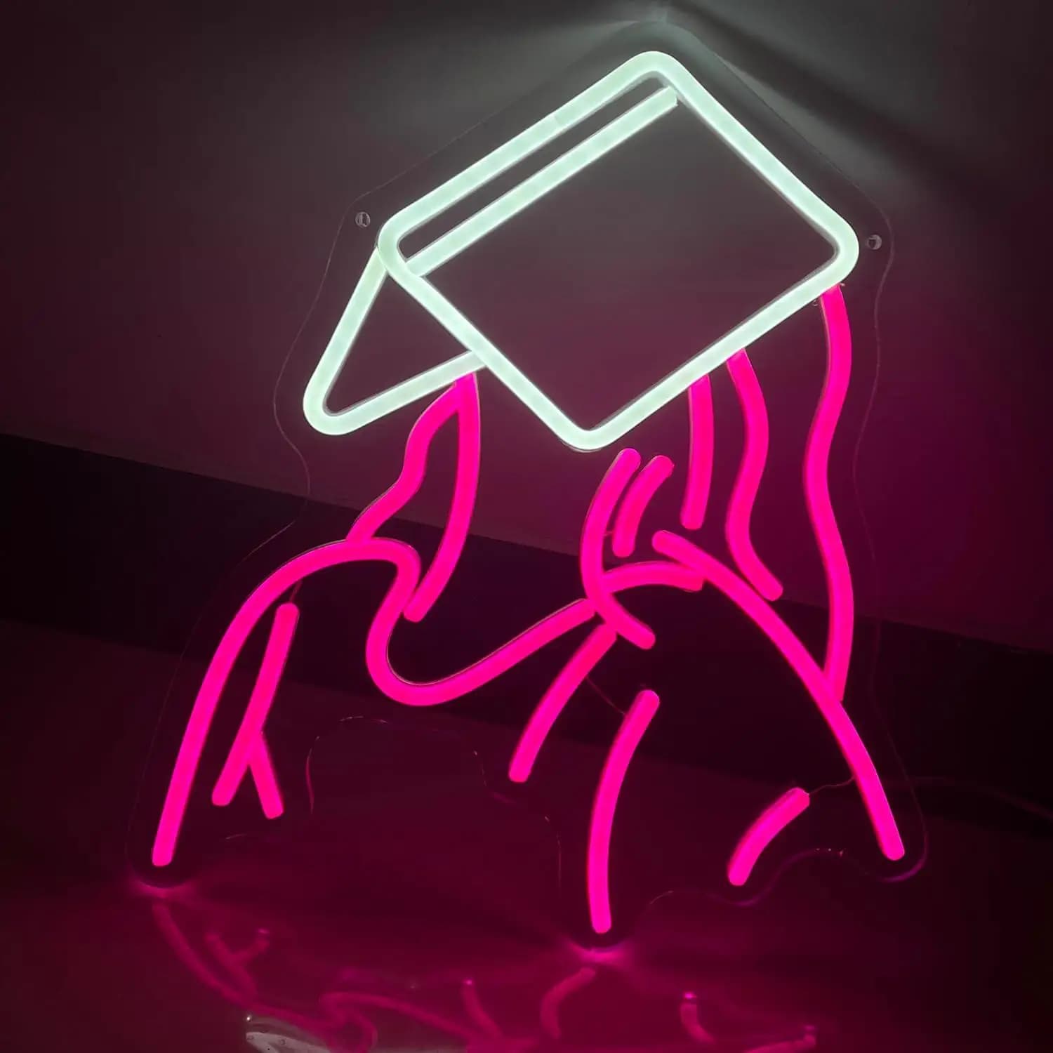 Reading Girl Neon Sign USB Dimmable LED Light for Bedroom Game Room Party Library Bookstore Wall Decor Gifts Night Light
