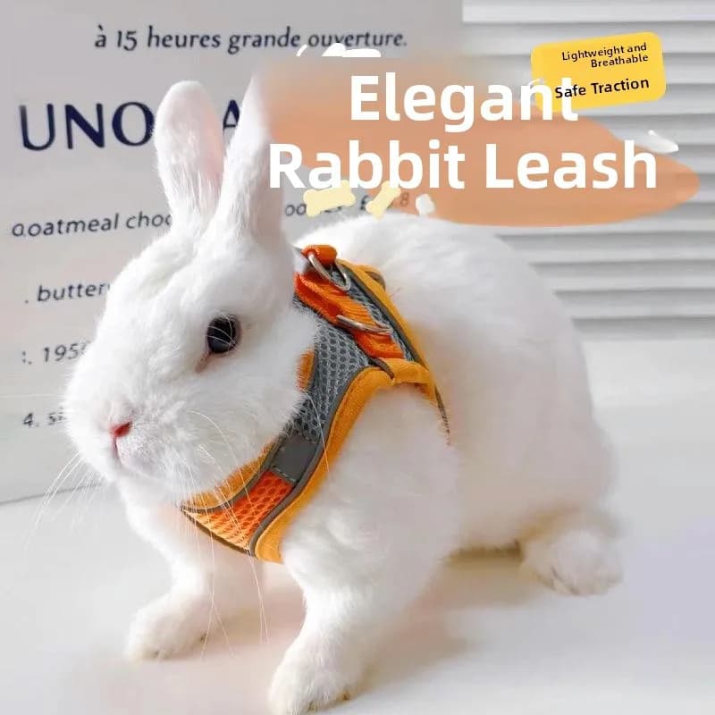 Anti-Escape Rabbit Leash Dog Walking Rope Small Dog Leash Rabbit Tug of War Rope Pet Supplies /Dog Travel Accessories