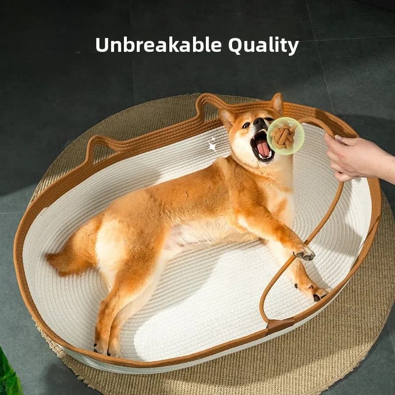 Cuccia Universale Quattro Stagioni per Cani, Cesto Nido per Animali Domestici in Vimini Intrecciato, Cuccia Estiva per Cani di Piccola Taglia, Cuscino Teddy Bear Ibrido
