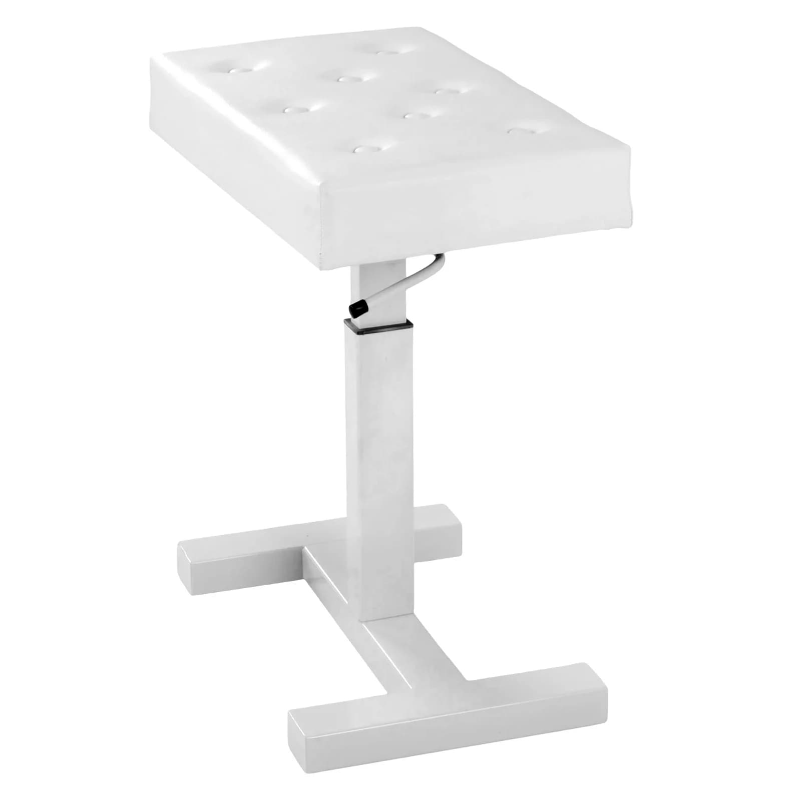 Adjustable Hydraulic Musical Stool with PU Leather Seat and Vanity Sponge Bearing, Living Room and Bedroom