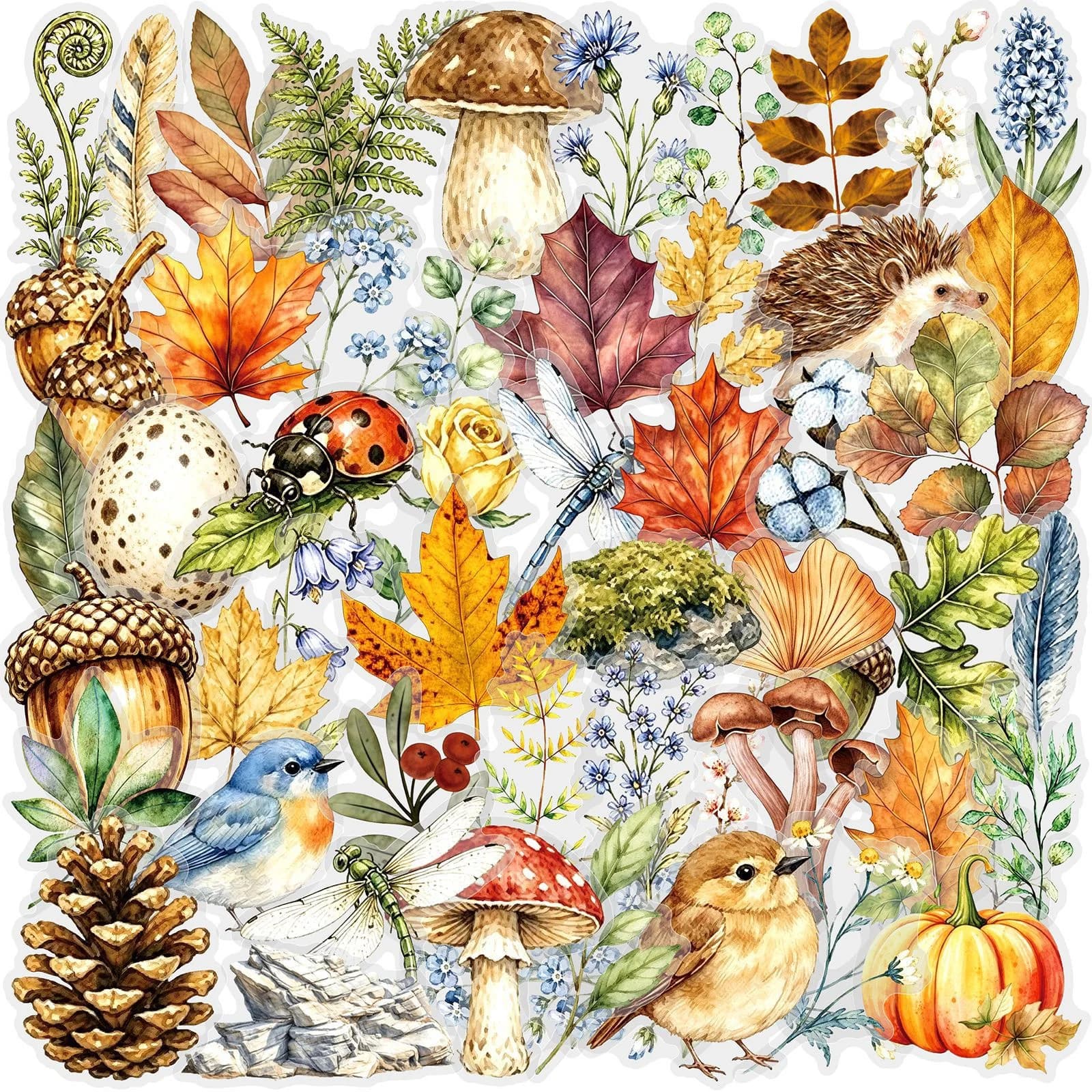 50PCS Autumn Forest Animal Plant Transparent Sticker School Stationery Decals Notebook Luggage Phone Fridge Stickers