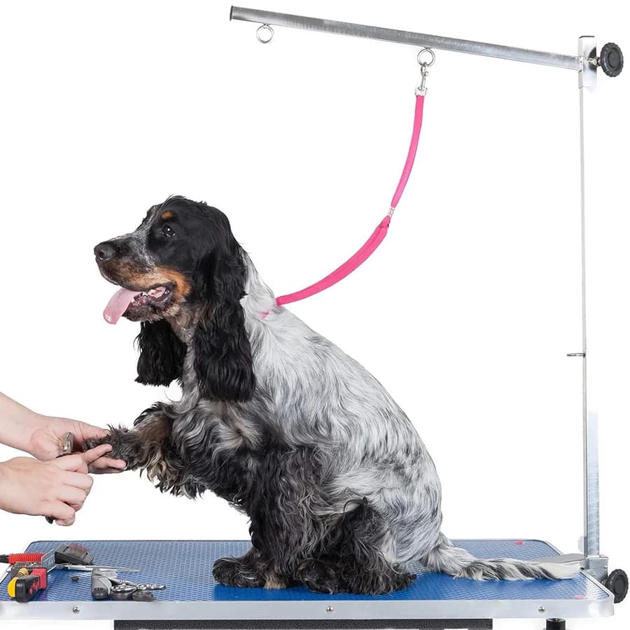 9 Pieces Pet Grooming Loops Nylon Restraint Noose Adjustable Fixed Dog Cat Safety Rope for Pet Grooming Table Bathtub