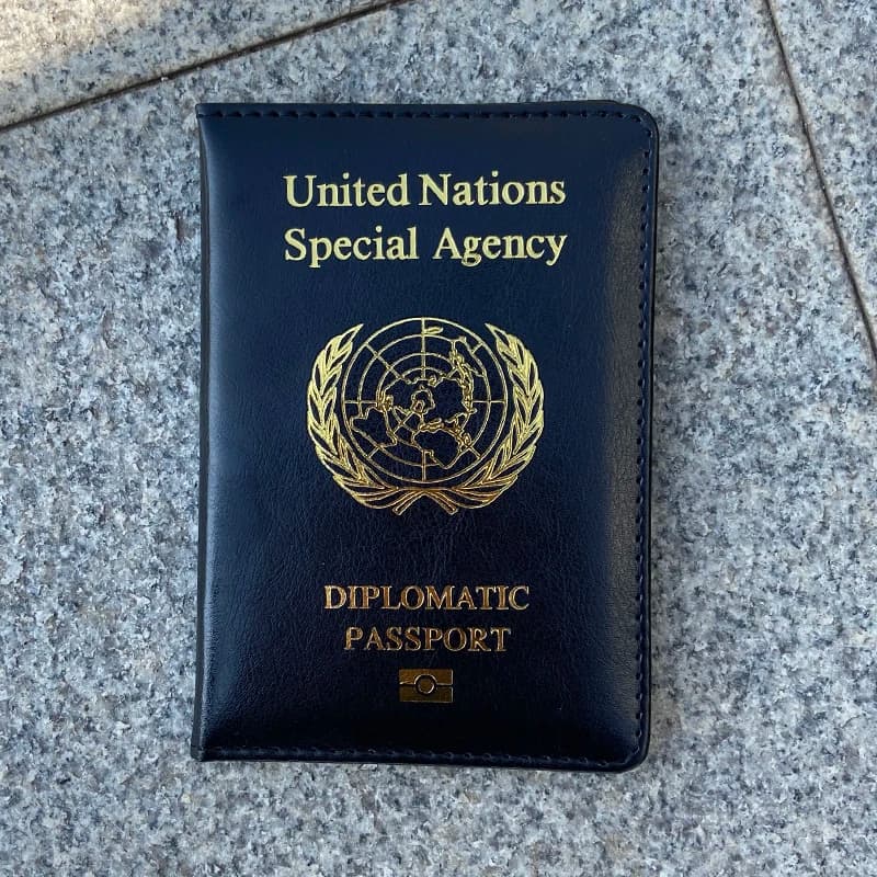 Custodia per passaporto diplomatico Custodia carina alla moda per passaporto Documento di viaggio Organizzatore per passaporto Custodia protettiva in pelle PU per pasaporto
