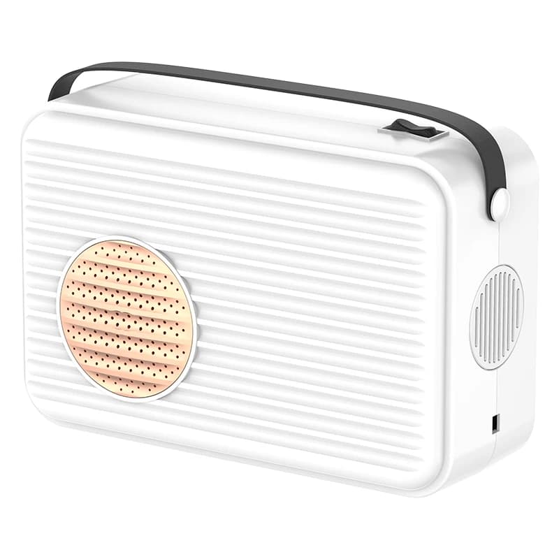 2025 New Multi-Functional Pet Hair Dryer/Warm Air Dryer for Pet Hair&Quilt&Blanket&Clothes& Shoes