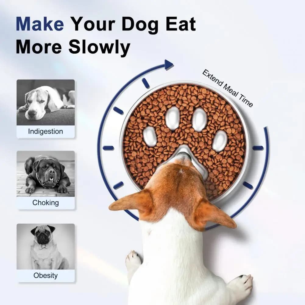 Ciotola per mangiatoia lenta per cani da 900ml mangiatoia lenta per cani antiscivolo ciotola per alimenti secchi e bagnati ciotola per cani con Design a zampa di gatto carino accessori per animali domestici