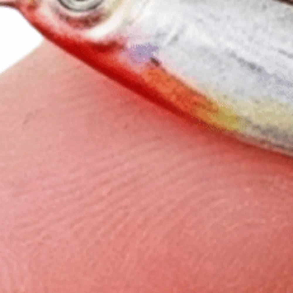 Micro Esca in Metal Plate Shape, 3D Design, Weight 1.5g, Metal Jig, Mini Esca VIB 3D for Fishing